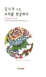 소리를 빗질하다 (문학아카데미시선 286)